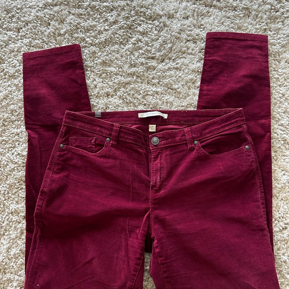 Lauren Conrad, velvet wine colored jeans.